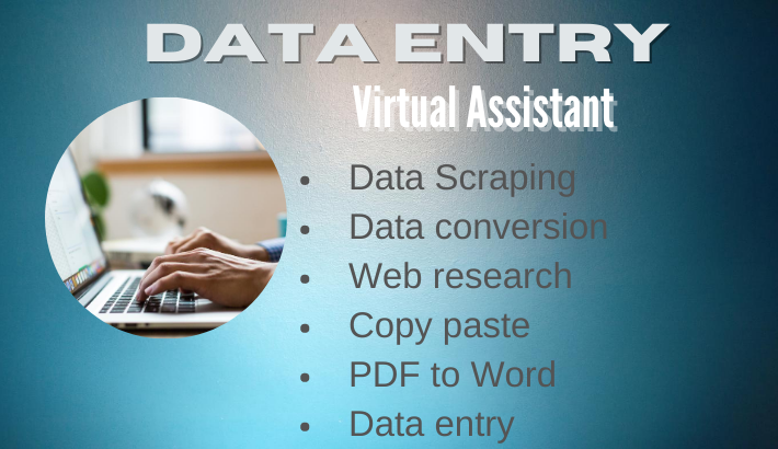 I will do data entry, E-commerce Products Listing, copy paste, typing work etc. for $10