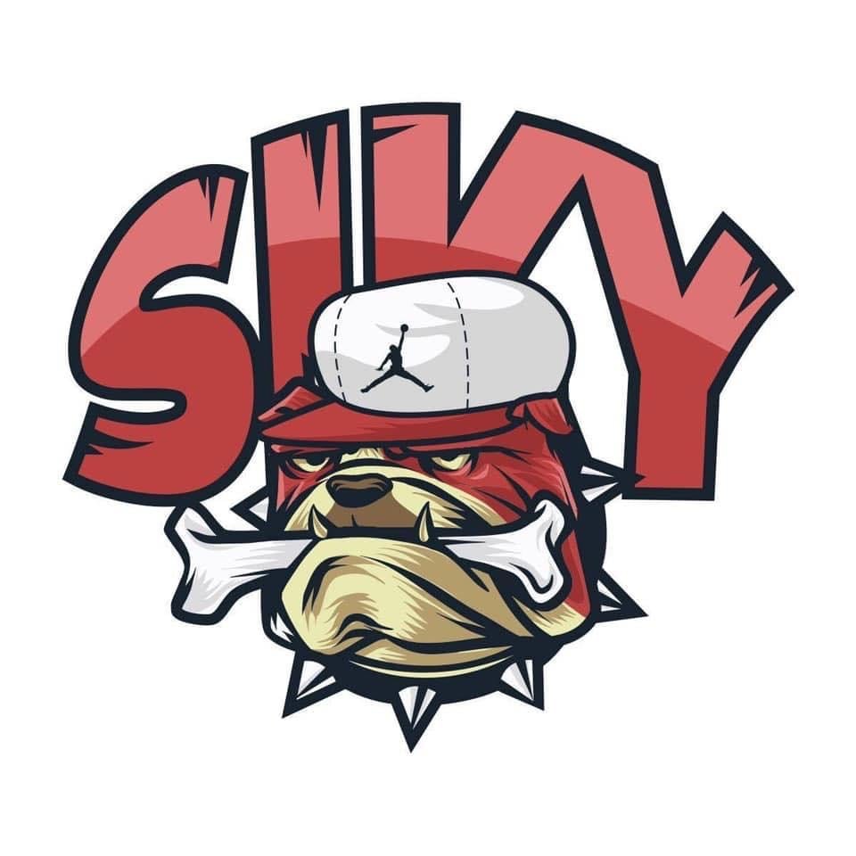 Fast edit videos , make intro youtube 