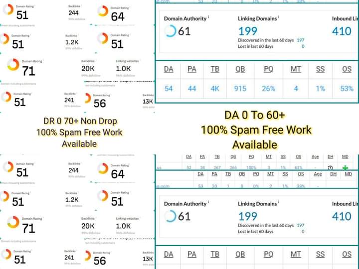 I will increase your website DA DR 50+ with 0 spam score