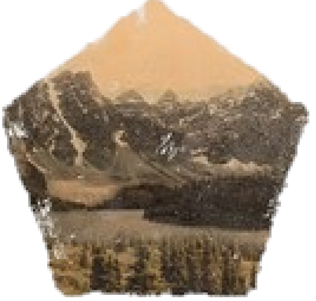  THIS IS PHOTO IS MY NATUR MY LIFE MY SECION 