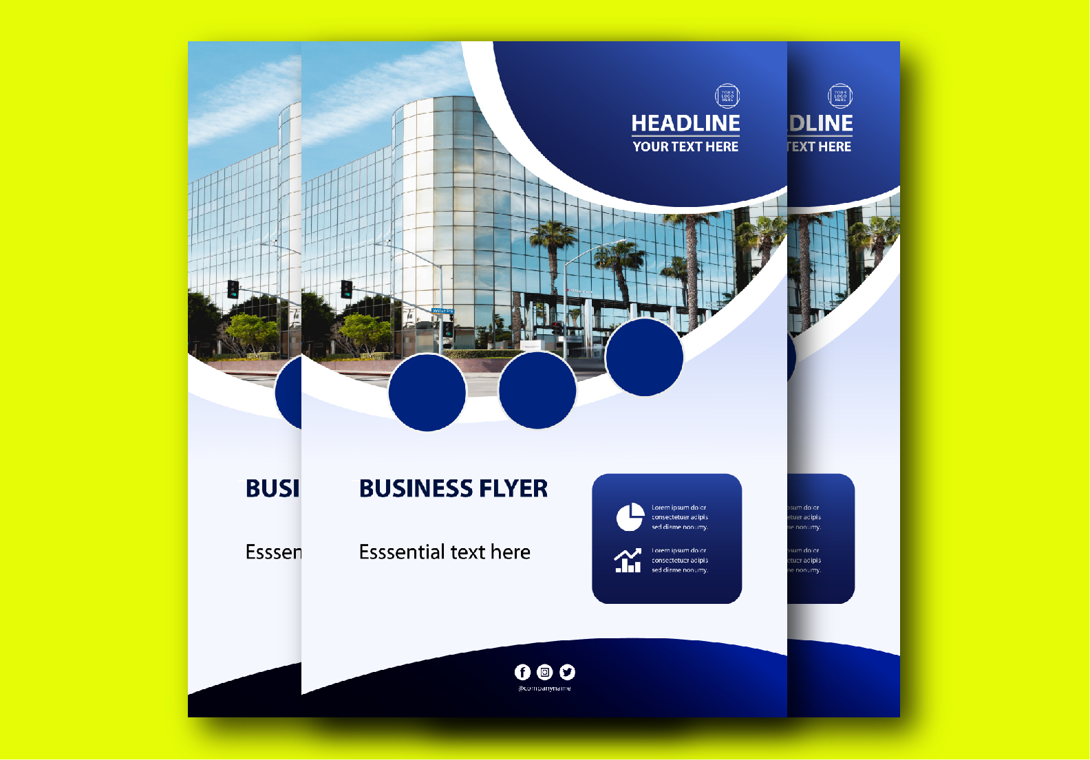 I will design a professional and unique flyer or brochure for your business