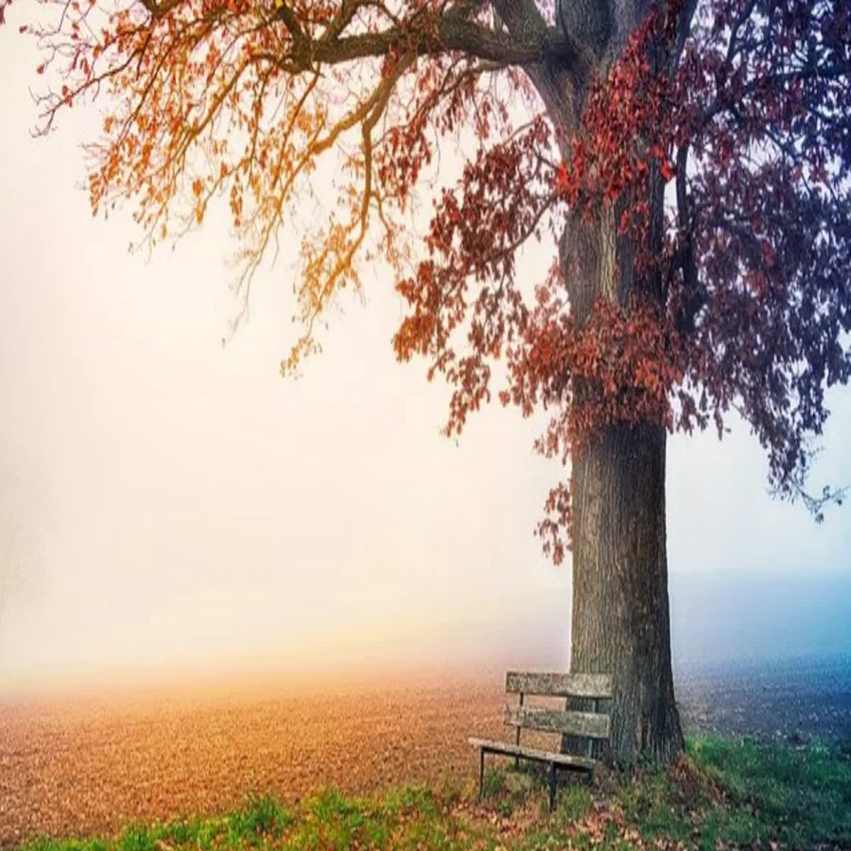 I have designed a promotional advertisement for you that attracts many visitors