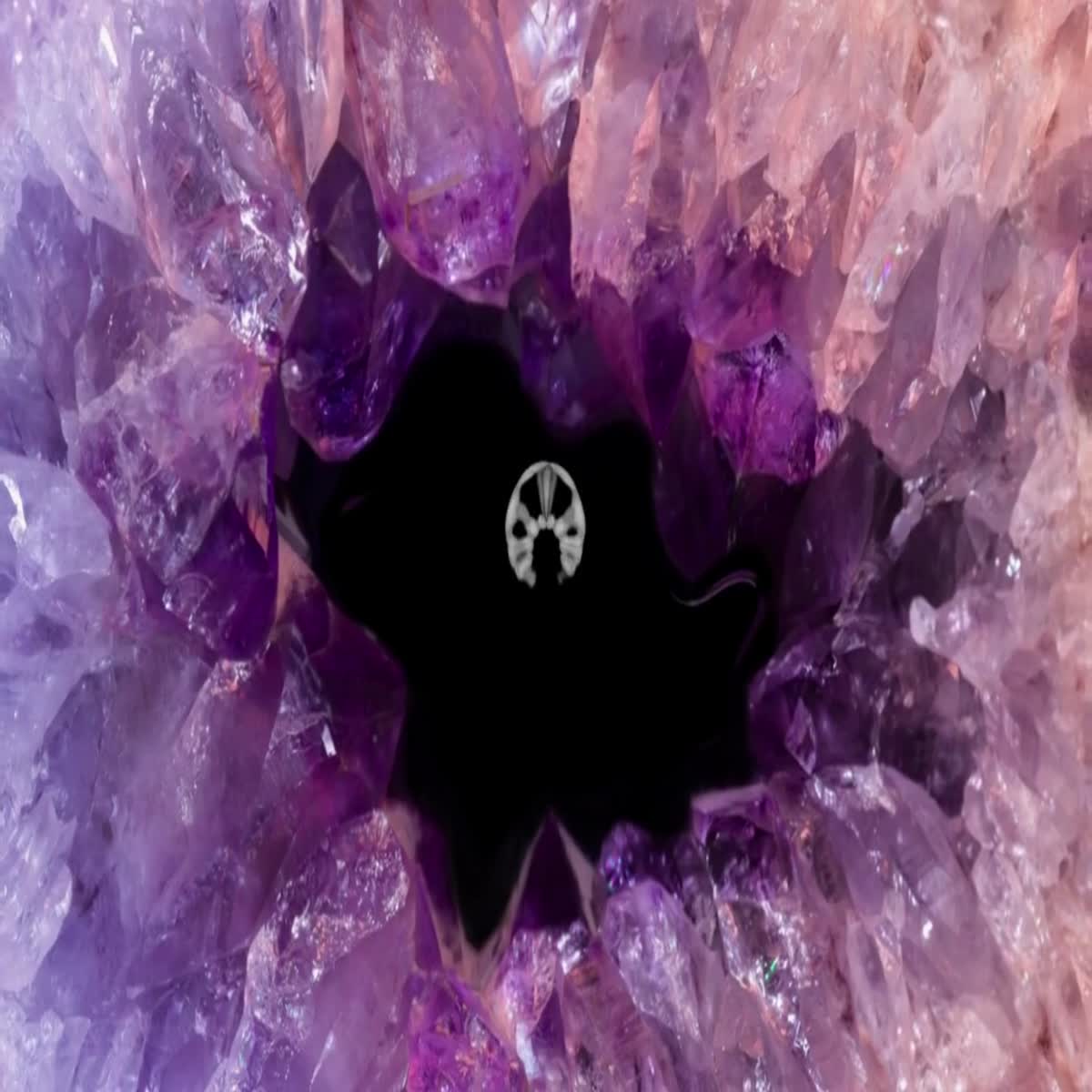 For you, a youtube podcast intro, outro, logo animation, and conclusion