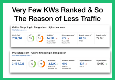 Provide Advanced SEO Audit Report with action plan