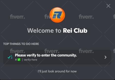 I will setup a discord server for your NFT. DAO and community 