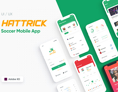 Professional design of the application interface and your website