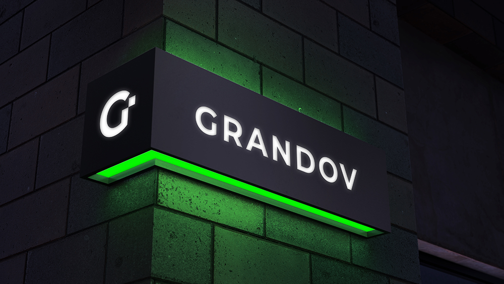 I will Design mockup for your business logo