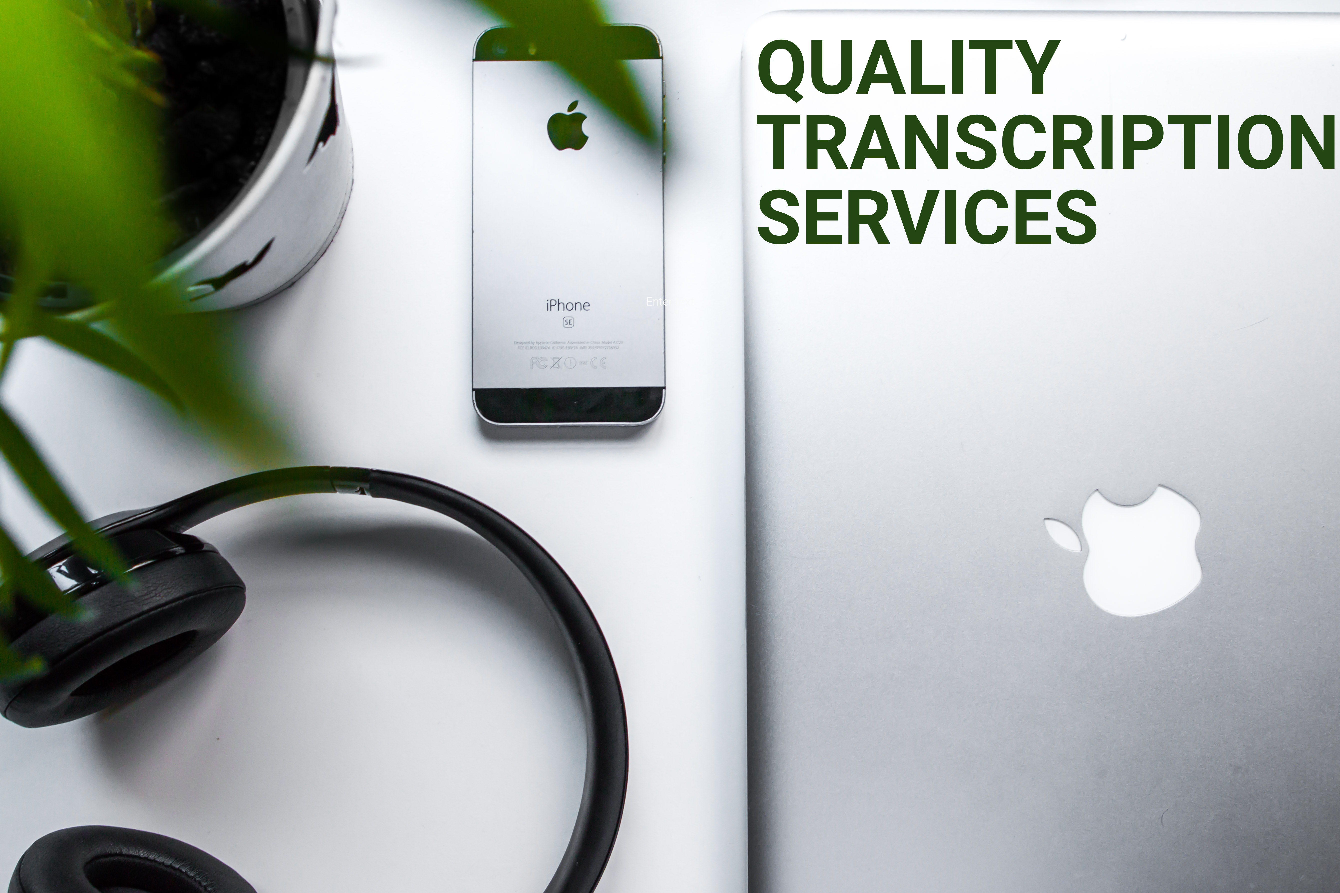 I will provide professional and prompt data entry service