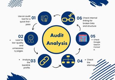 I will give website audit report and website analysis. 