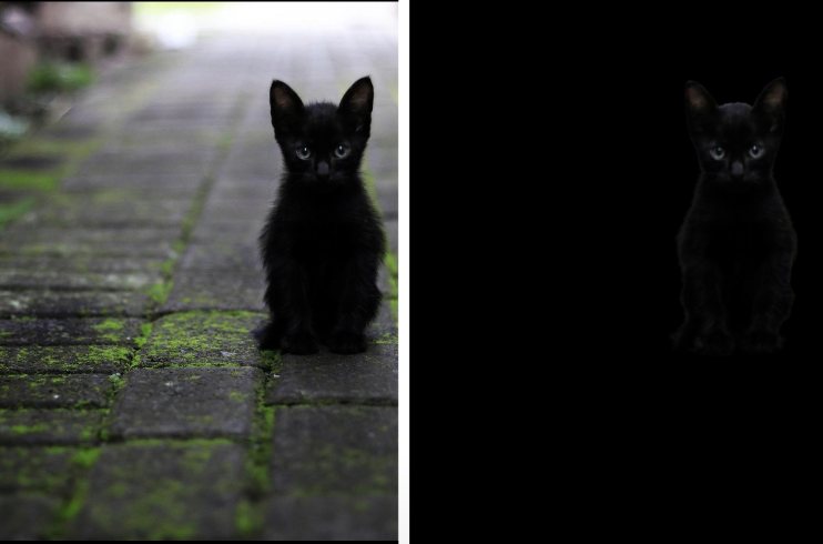 I can remove 20 Photos background just in 50 Minutes