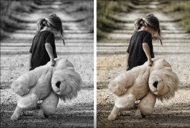 I Will Colorize Black And White pictures.