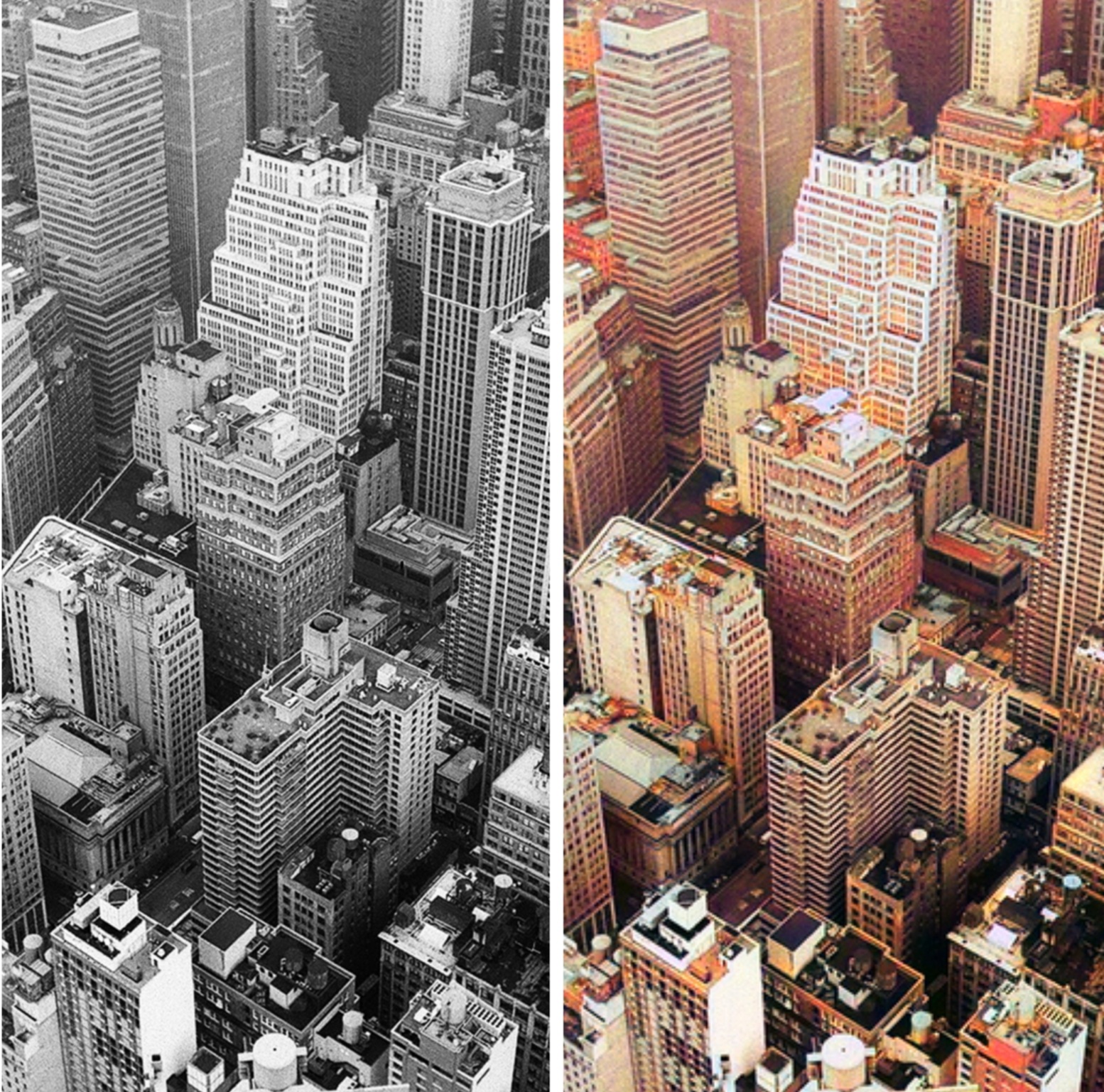 I will colorize pictures professionally