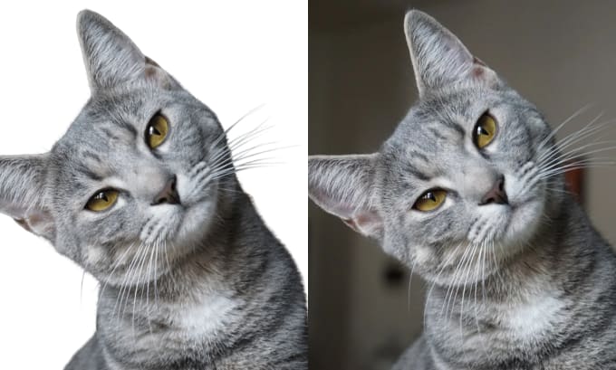 I will remove background from images and resize products photos