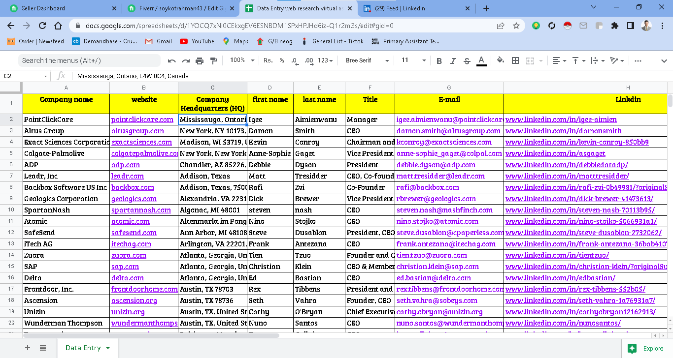 I will Do web research data entry and lead generation