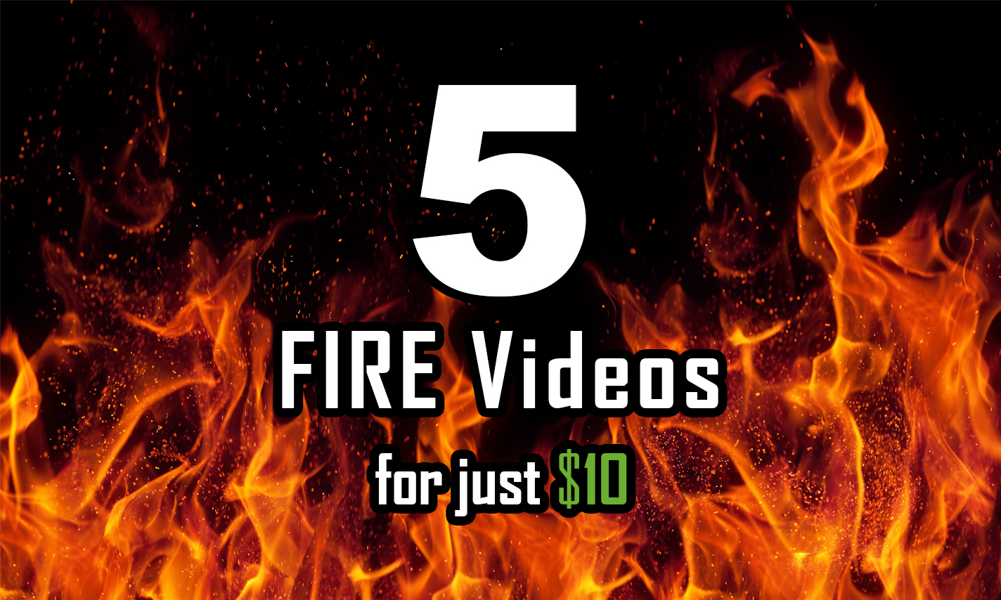 I will make all 5 Fire, Flame logo intro video anima...
