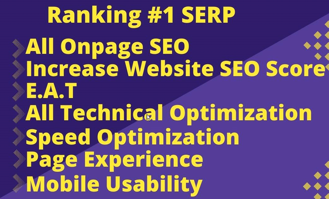 I will provide monthly SEO service for WordPress websites