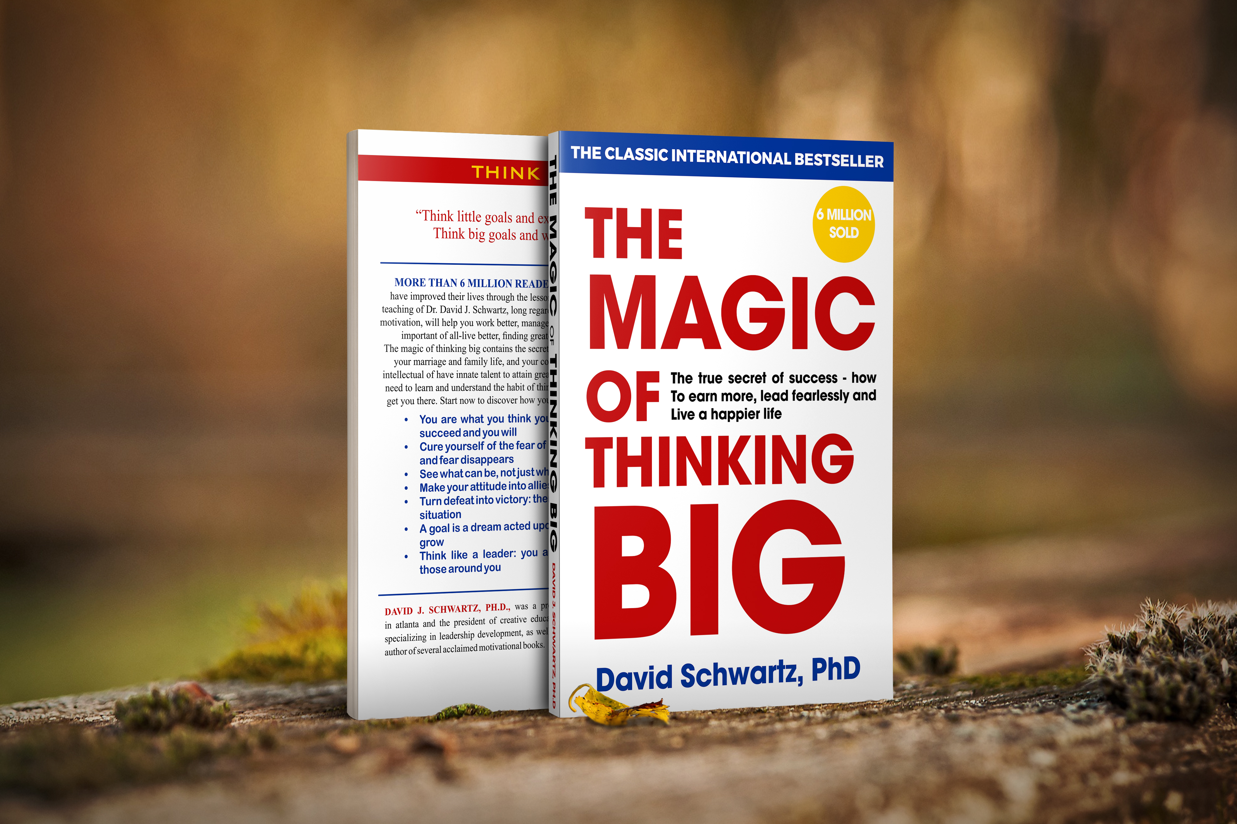 Design a book cover for your book projects