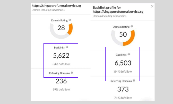 I will create 5k referring domain seo backlinks for value of search engine ranking number 01
