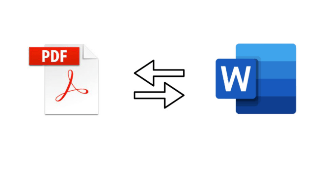 I will professional convert pdf to word 