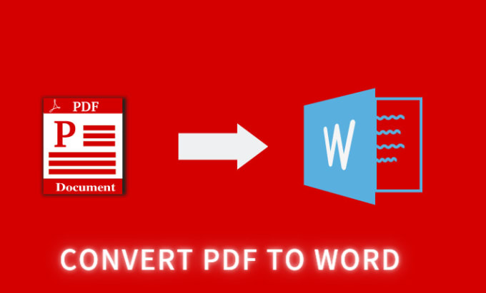 I will professional convert pdf to word 