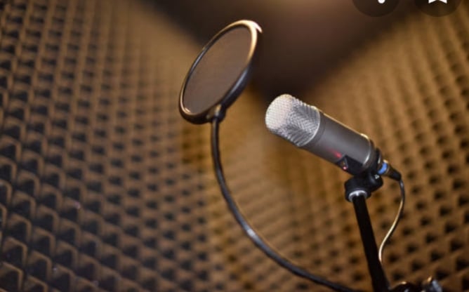 Amazing voice of child and adult