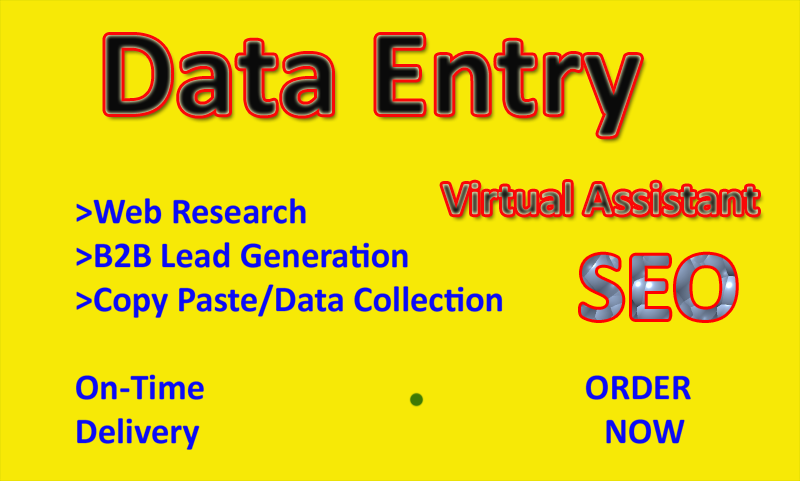 Best virtual assistant data entry operator , data mining, web research and copy paste