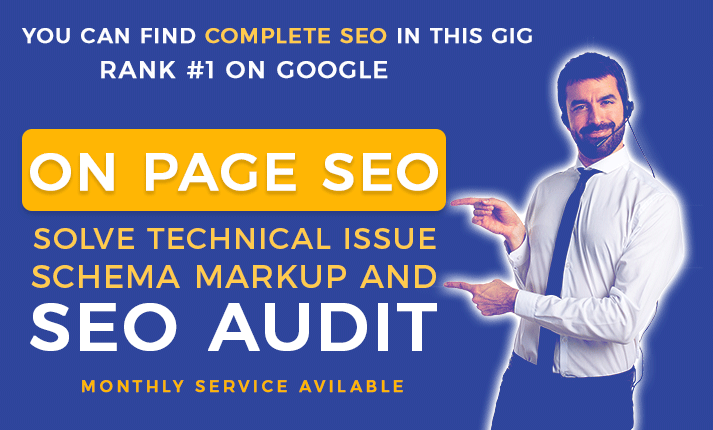 On page seo audit with schema markup