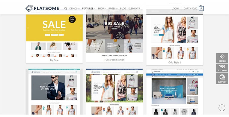 create professional wordpress ecommerce Website and add products