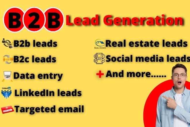 I will do b2b lead generation for your any business niche and targeted email list building 