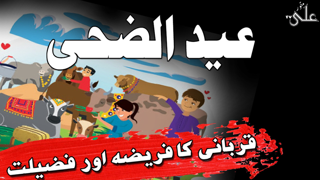 YouTube Professional Thumbnail Design