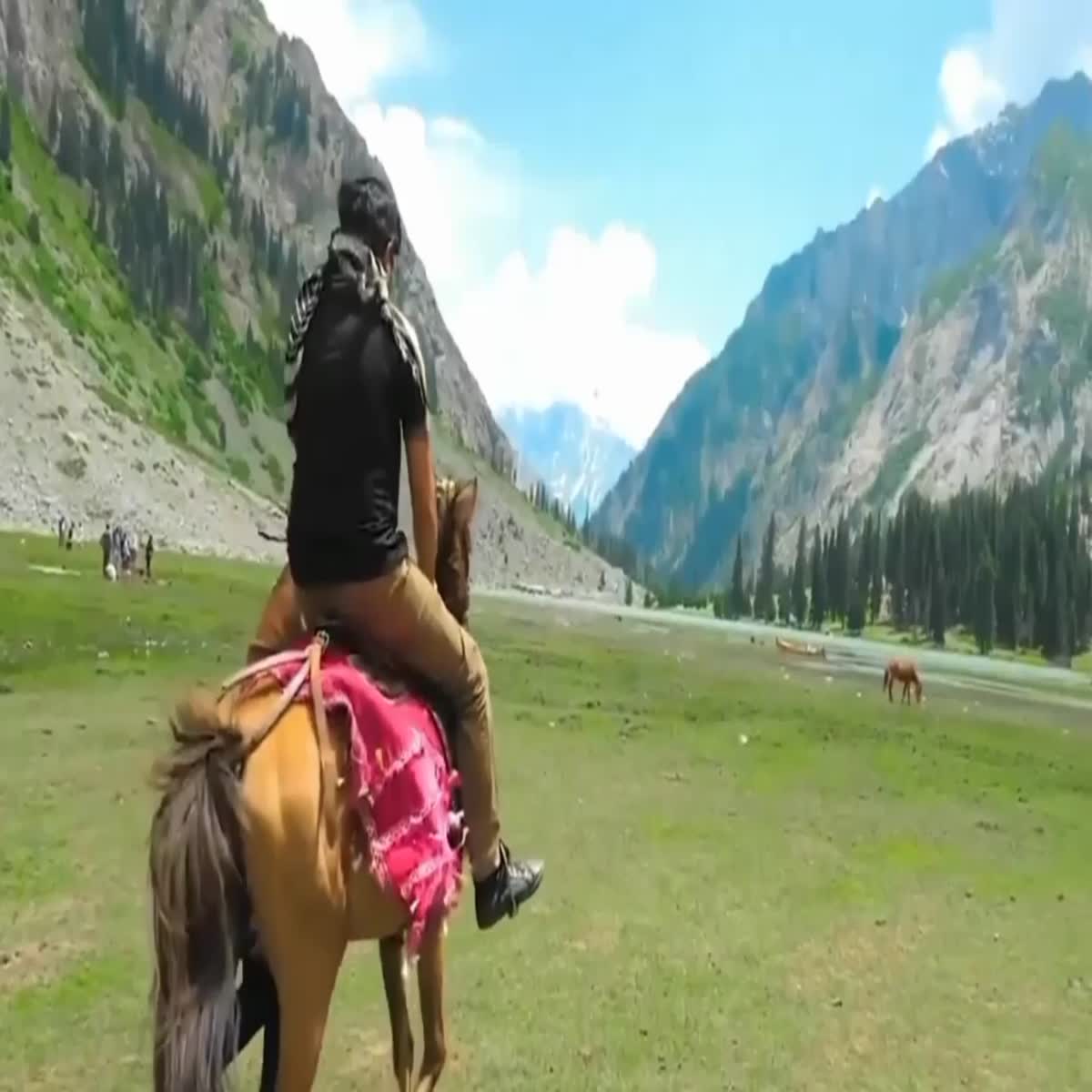 Professional video editing, Using Adobe premiere pro