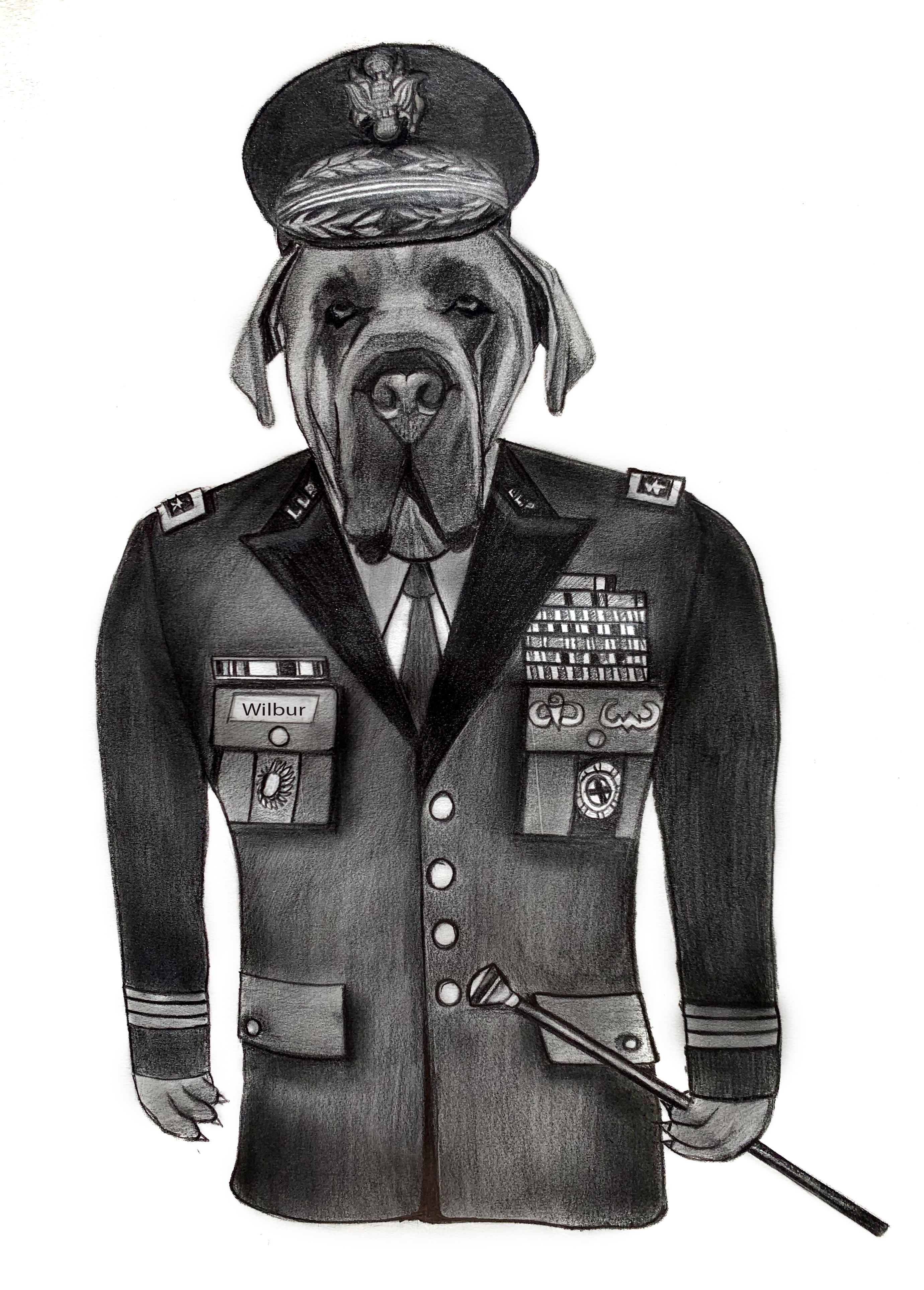 I will draw pencil sketch. Portrait of your dog, cat, bird, animal