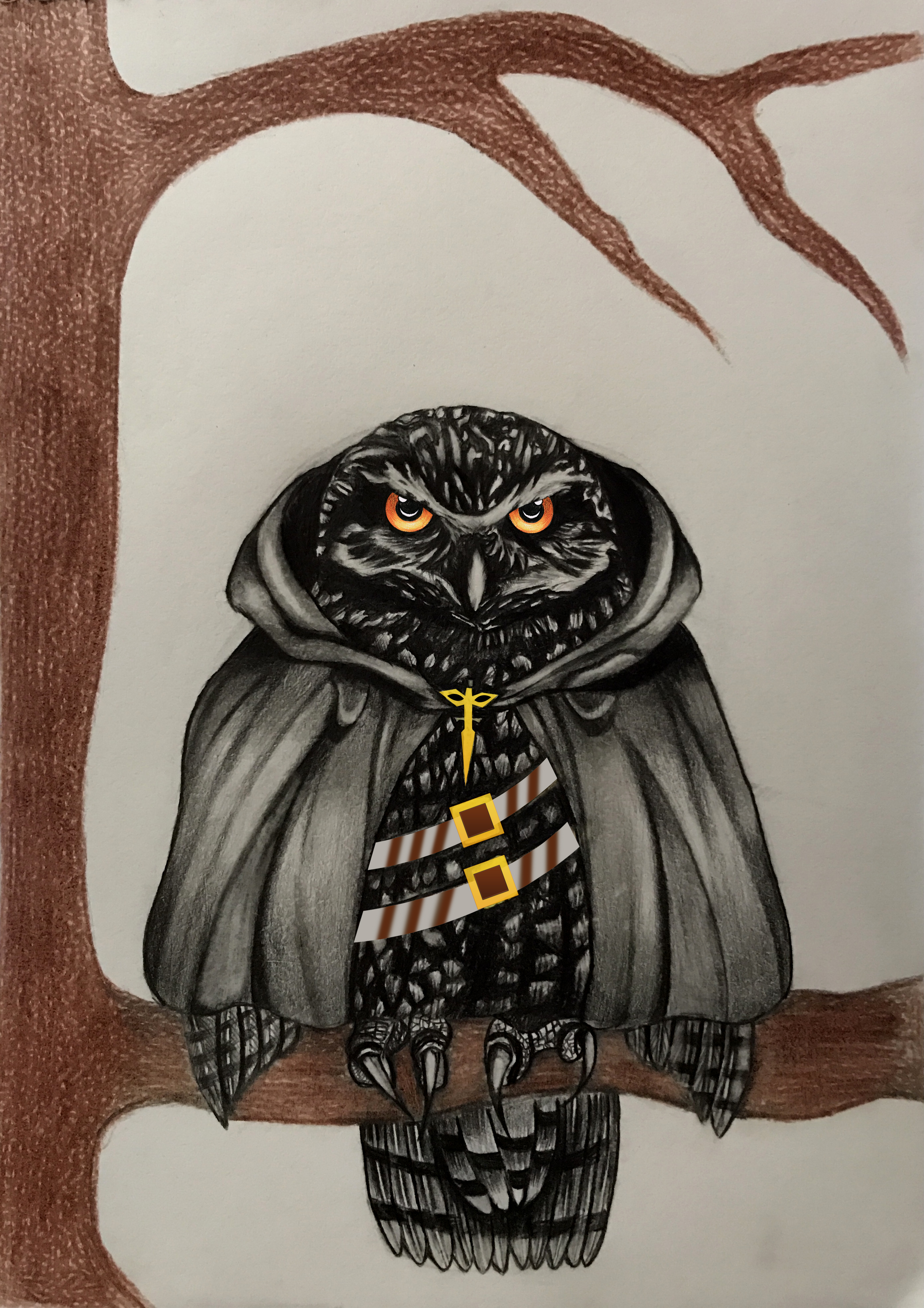 I will draw pencil sketch. Portrait of your dog, cat, bird, animal