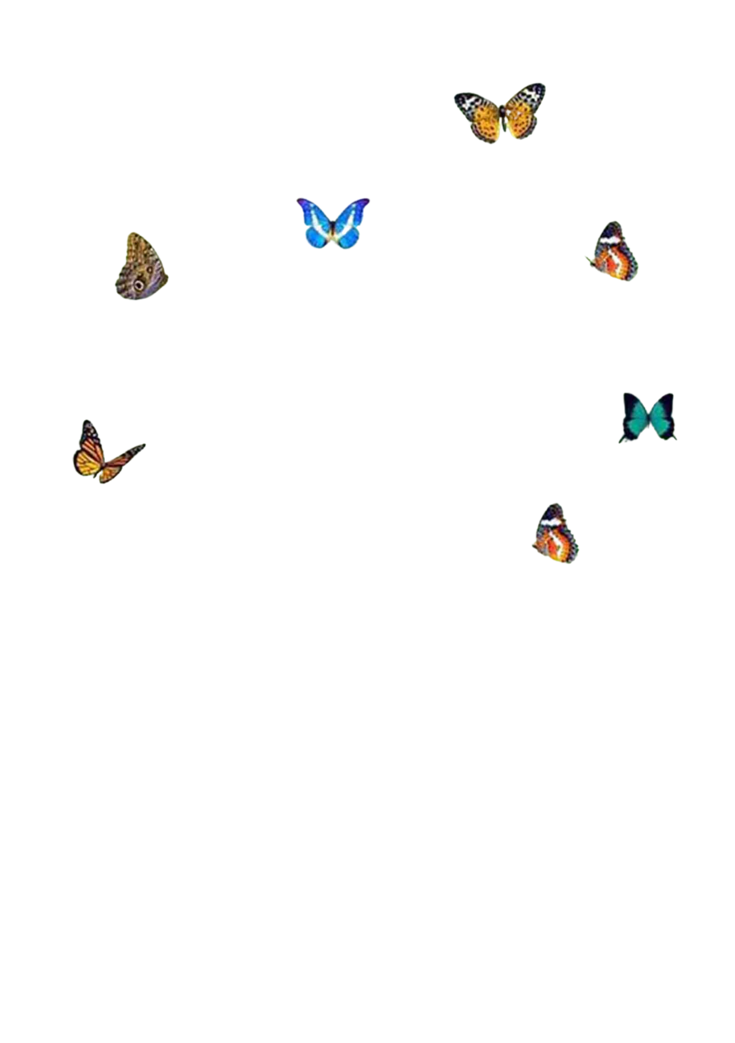 Image back ground Remove White Back Ground