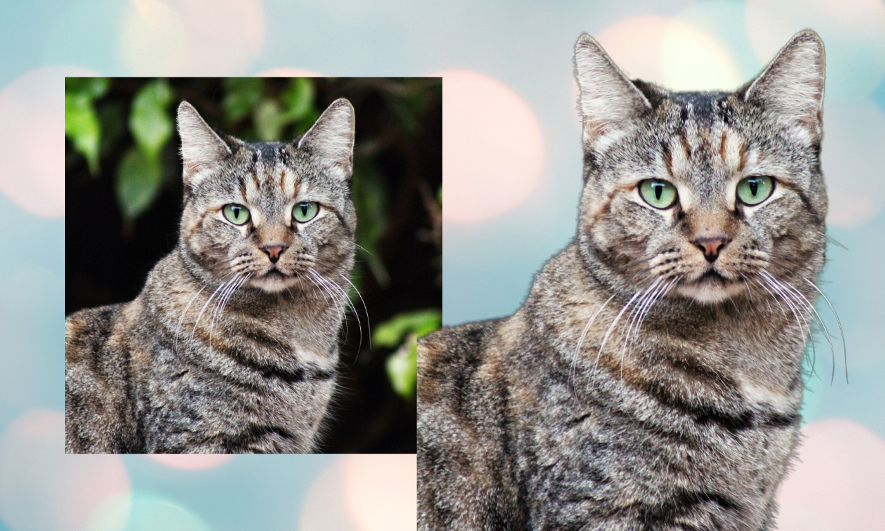 Perfectionist Photoshop Expert Photo editing Service For Ecommerce Products & Personal transparency