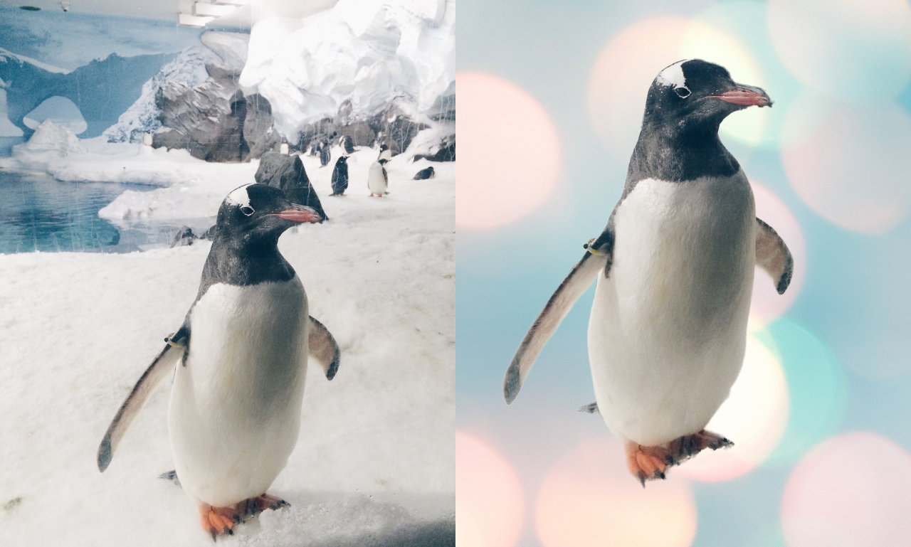 Perfectionist Photoshop Expert Photo editing Service For Ecommerce Products & Personal transparency