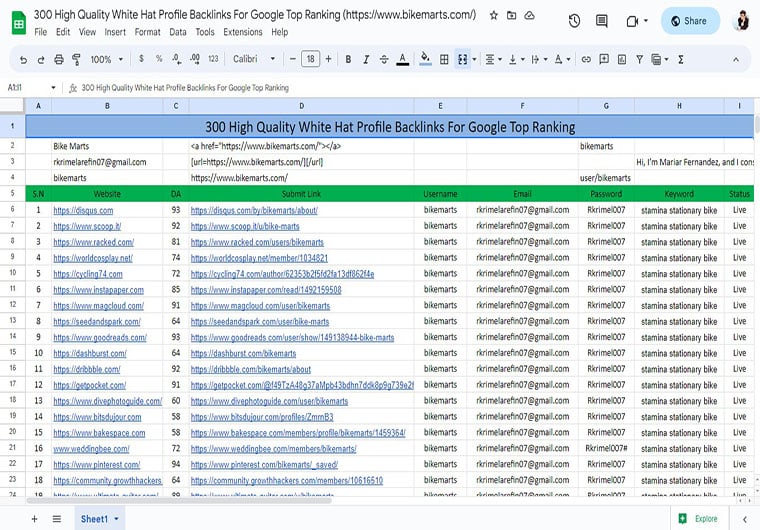 I will build manually 300 high quality white hat profile backlinks for google top ranking