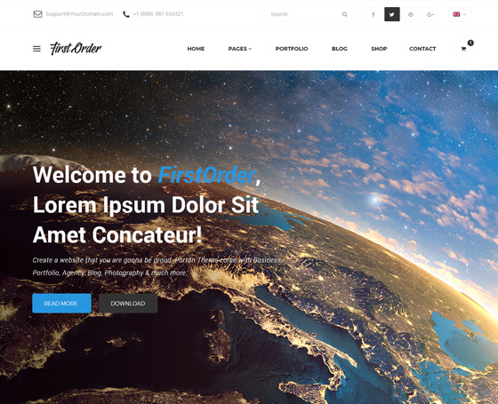 I am a world-class professional web developer