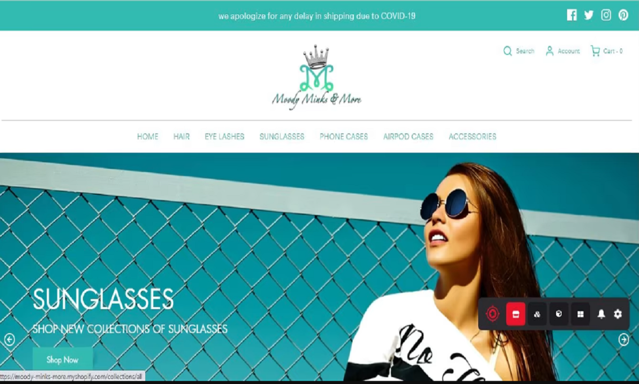 I will design professional Shopify website or Shopify Dropshipping website 