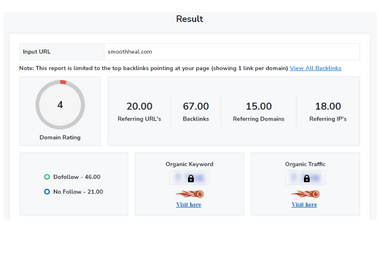 I will do Advance SEO audit report with action plan