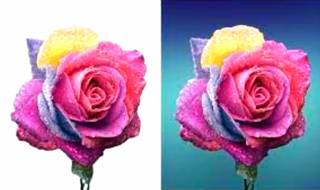 I will remove any 20 wallpapers or change them to other wallpapers