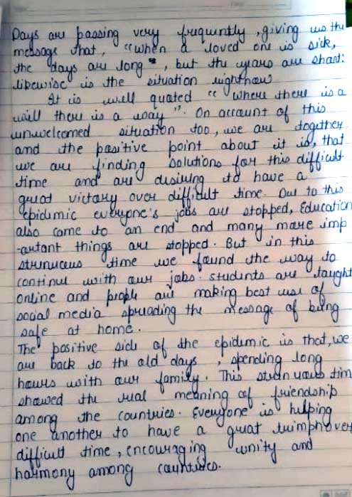 I'll write an amazing article for you or your business