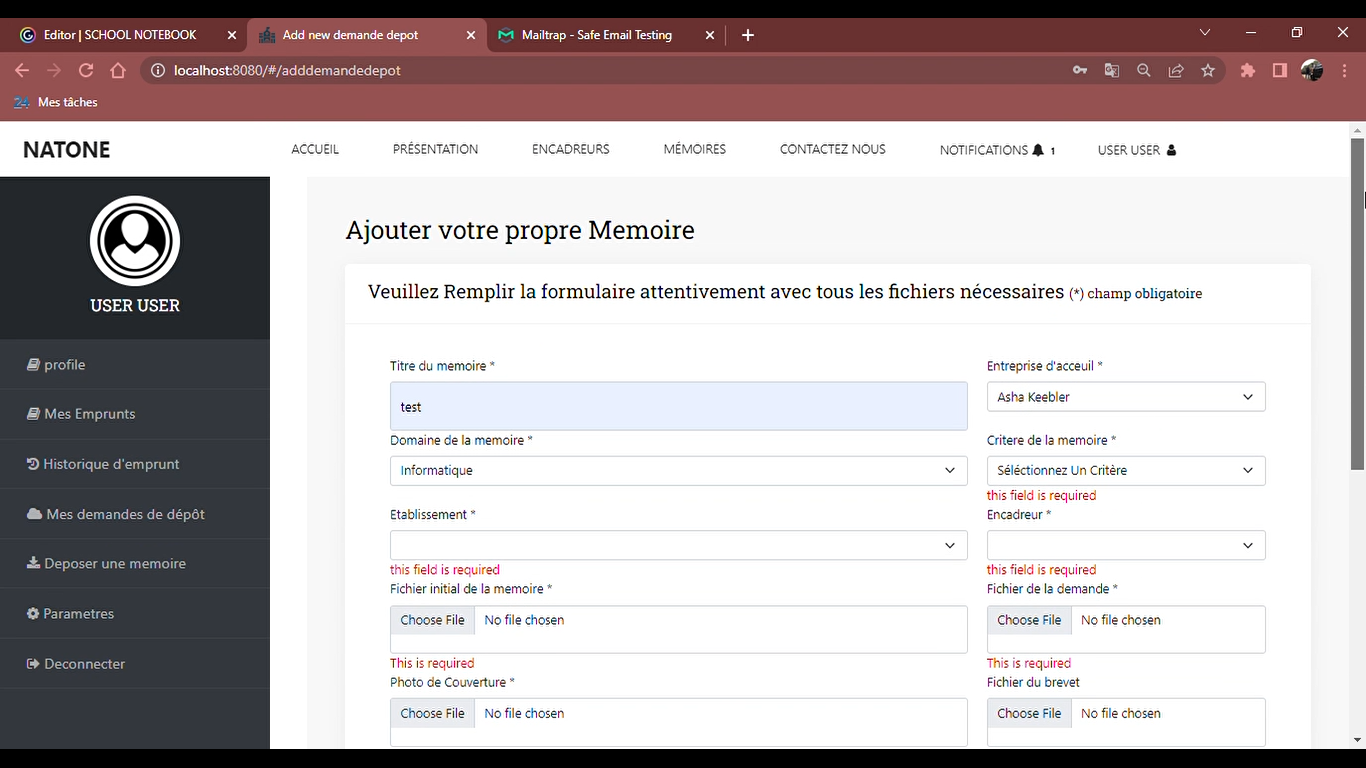 I will create and edit html CSS and javascript websites