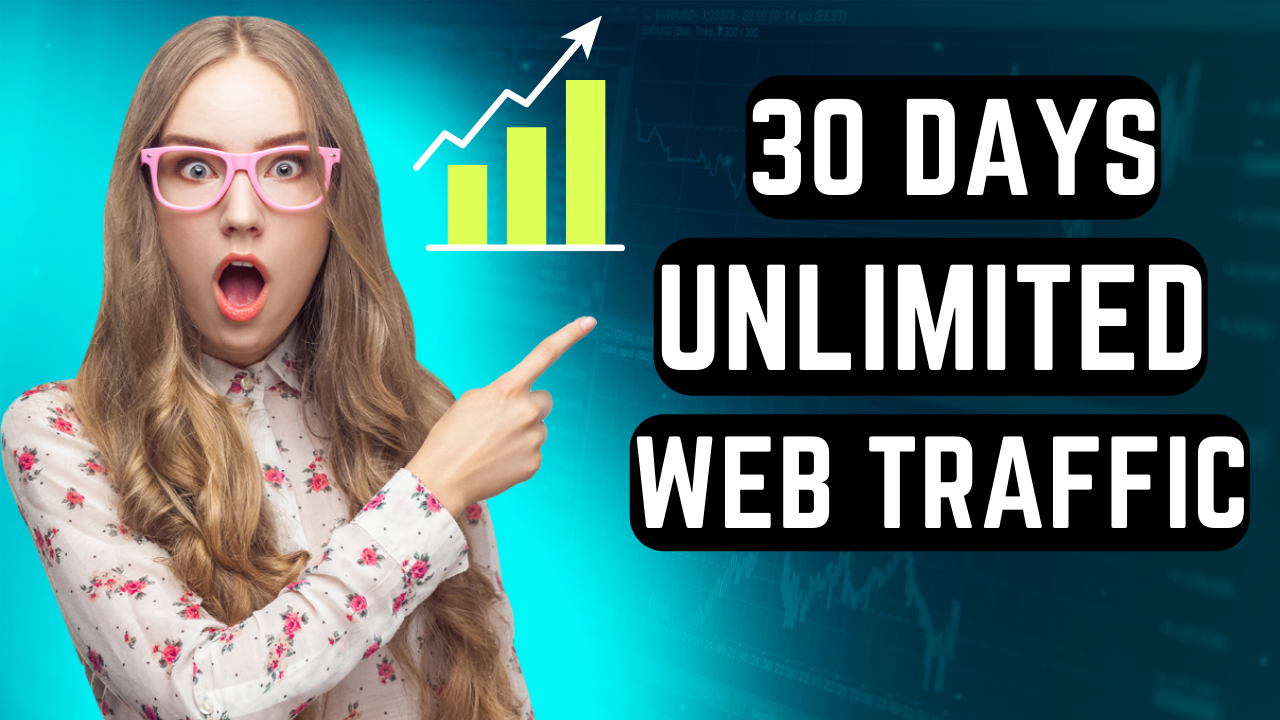 I will provide targeted organic and real visiter web ...