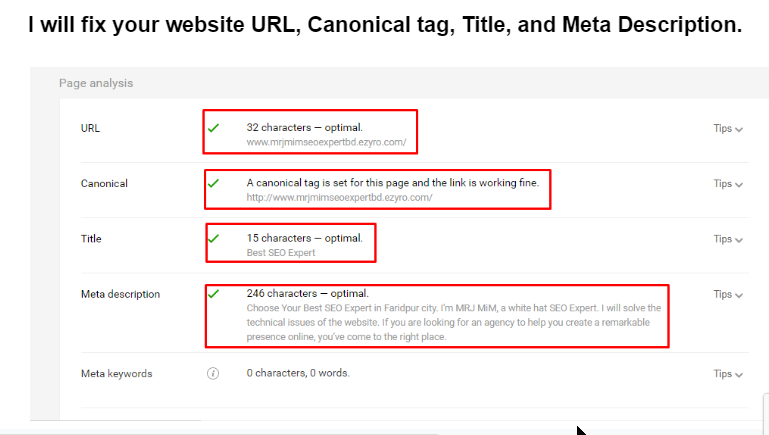 I will do Shopify and WordPress on-page SEO optimization