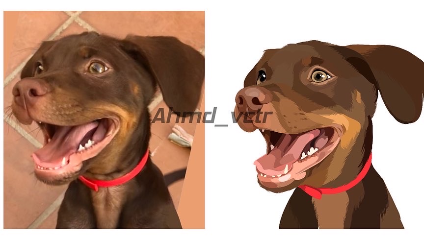 I will draw your pet into a vector art cartoon