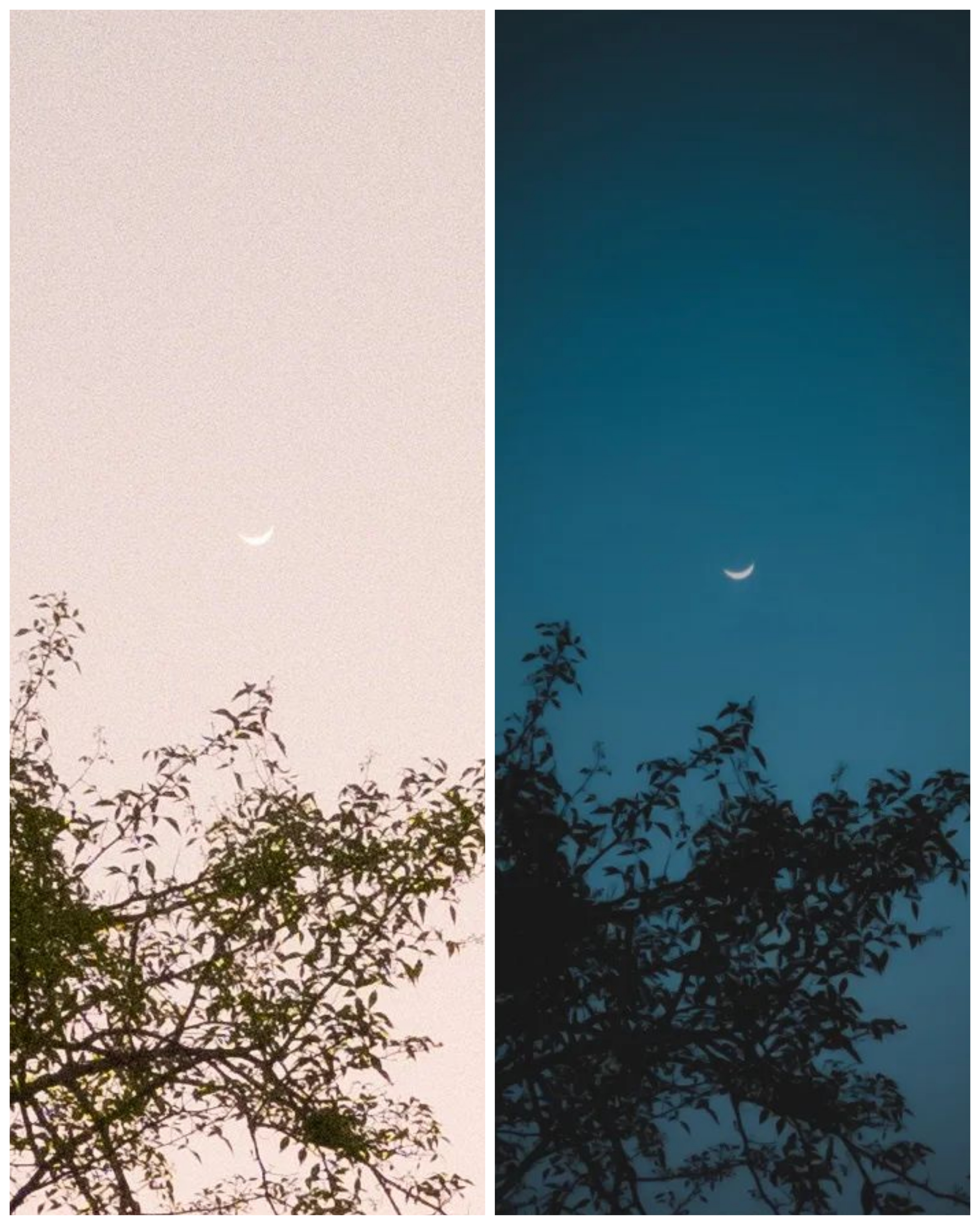 Best quality photo editing within 5 hours 