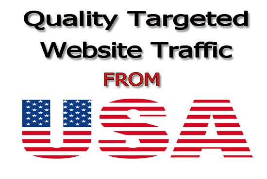 I will drive organic usa web organic traffic to your website