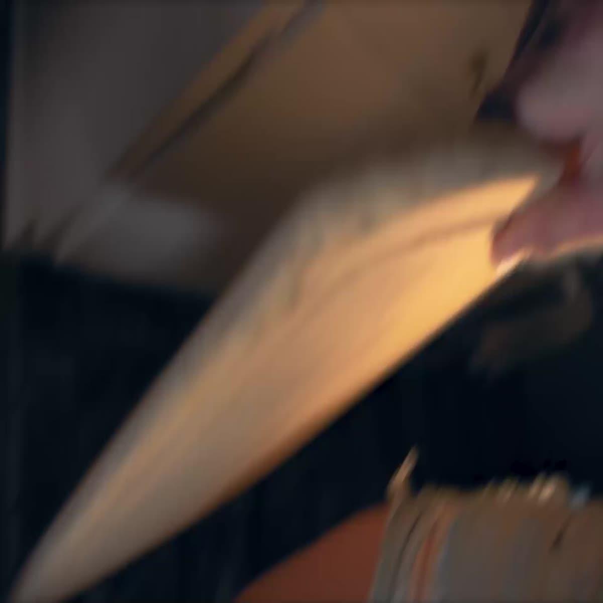 I will be your professional video editor for every category