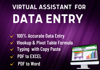 I will be your professional virtual assistant for Excel, web research and Data entry work .